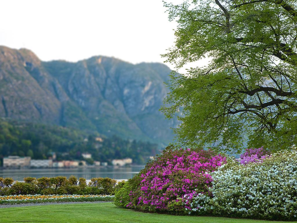 Colibri Lakeview Apartment Bellagio Room photo